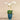 Flowers-Artificial Orchid Arrangement-Bloomr