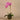 Flowers-Artificial Orchid Arrangement-Bloomr