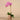 Flowers-Artificial Orchid Arrangement-Bloomr