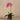 Flowers-Artificial Orchid Arrangement (Discontinued)-Bloomr