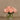 Flowers-Artificial Rose Arrangement in Glass Vase-Bloomr