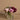 Flowers-Artificial Mixed Flower Arrangement in Glass Vase-Bloomr