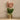 Flowers-Artificial Vanda Arrangement-Bloomr