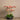 Flowers-Oasis Artificial Orchids in Black Pot-Bloomr