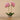 Flowers-Artificial Orchid Arrangement-Bloomr