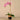 Flowers-Artificial Orchid Arrangement-Bloomr
