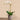 Flowers-Artificial Orchid Arrangement-Bloomr