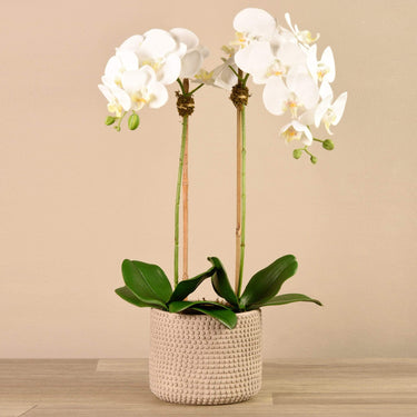Flowers-Artificial Orchid Arrangement-Bloomr