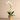 Flowers-Artificial Orchid Arrangement-Bloomr