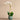 Flowers-Artificial Orchid Arrangement-Bloomr