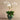 Flowers-Artificial Orchid Arrangement-Bloomr