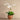 Flowers-Artificial Orchid Arrangement-Bloomr