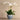 Flowers-Moroccan Orchid Arrangement-Bloomr
