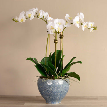 Flowers-Moroccan Orchid Arrangement-Bloomr