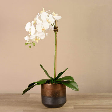 Flowers-Artificial Orchid Arrangement-Bloomr