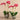 Flowers-Orchid Arrangement in Ceramic Vase (Discontinued)-Bloomr
