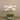 Flowers-Sleek Artificial Orchid Arrangement-Bloomr