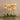 Flowers-Artificial Orchid Arrangement in Glass Vase-Bloomr