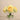 Floral Arrangement-Artificial Ranunculus Arrangement in Glass Vase-Bloomr