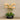 Flowers-Oasis Artificial Orchids in Black Pot-Bloomr