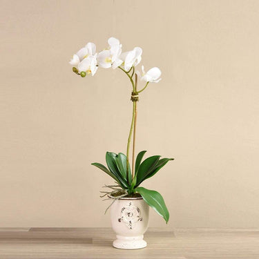 Flowers-Artificial Orchid Arrangement-Bloomr