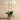 Flowers-Artificial Orchid Arrangement-Bloomr