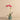 Flowers-Artificial Orchid Arrangement-Bloomr