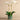 Flowers-Artificial Orchid Arrangement-Bloomr