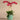 Flowers-Placid Orchid Arrangement-Bloomr