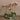 Flowers-Modern Orchid Arrangement-Bloomr