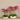 Flowers-Oasis Artificial Orchid Arrangement-Bloomr