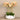 Flowers-Oasis Artificial Orchids in White Pot-Bloomr