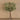 Flowers-Olive Stems Arrangement in Glass Vase-Bloomr