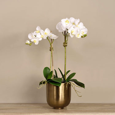 Flowers-Artificial Orchid Arrangement-Bloomr