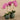 Flowers-Artificial Orchid Arrangement-Bloomr