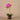 Flowers-Artificial Orchid Arrangement-Bloomr
