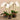 Flowers-Artificial Orchid Arrangement-Bloomr