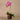 Flowers-Artificial Orchid Arrangement-Bloomr