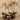 Flowers-Artificial Orchid Arrangement-Bloomr