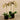 Flowers-Artificial Orchid Arrangement-Bloomr