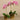 Flowers-Artificial Orchid Arrangement-Bloomr
