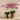 Flowers-Artificial Orchid in Gold Vase-Bloomr