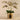 Flowers-Artificial Orchid in Gold Vase-Bloomr