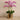 Flowers-Artificial Orchid in Gold Vase-Bloomr