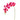 Flowers-Orchid Stem-Bloomr