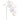 Flowers-Orchid Stem-Bloomr