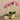 Flowers-Artificial Orchid Arrangement-Bloomr
