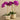Flowers-Artificial Orchid Arrangement-Bloomr