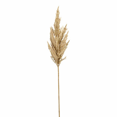 Flowers-Pampas Grass-Bloomr
