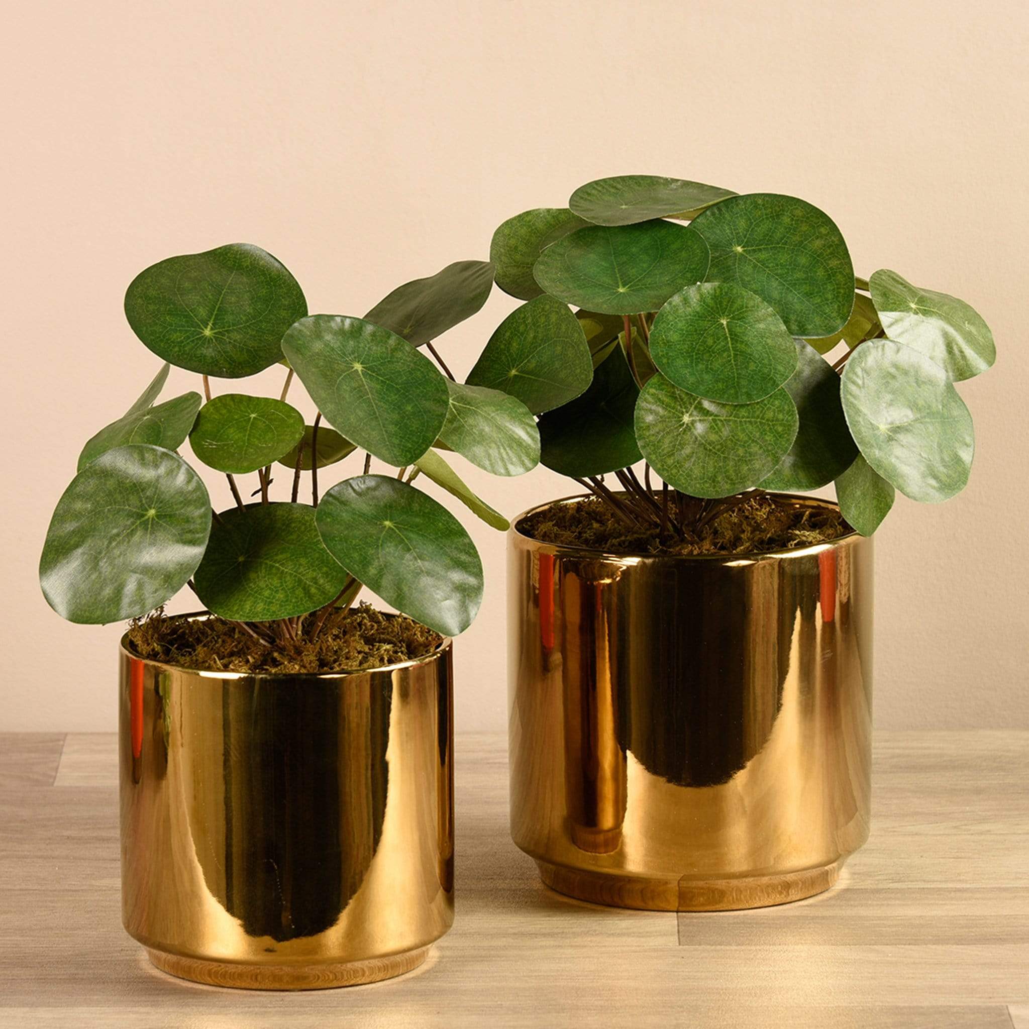 artificial plants in gold pot Artificial Pancake Plant in Gold Pot – Bloomr